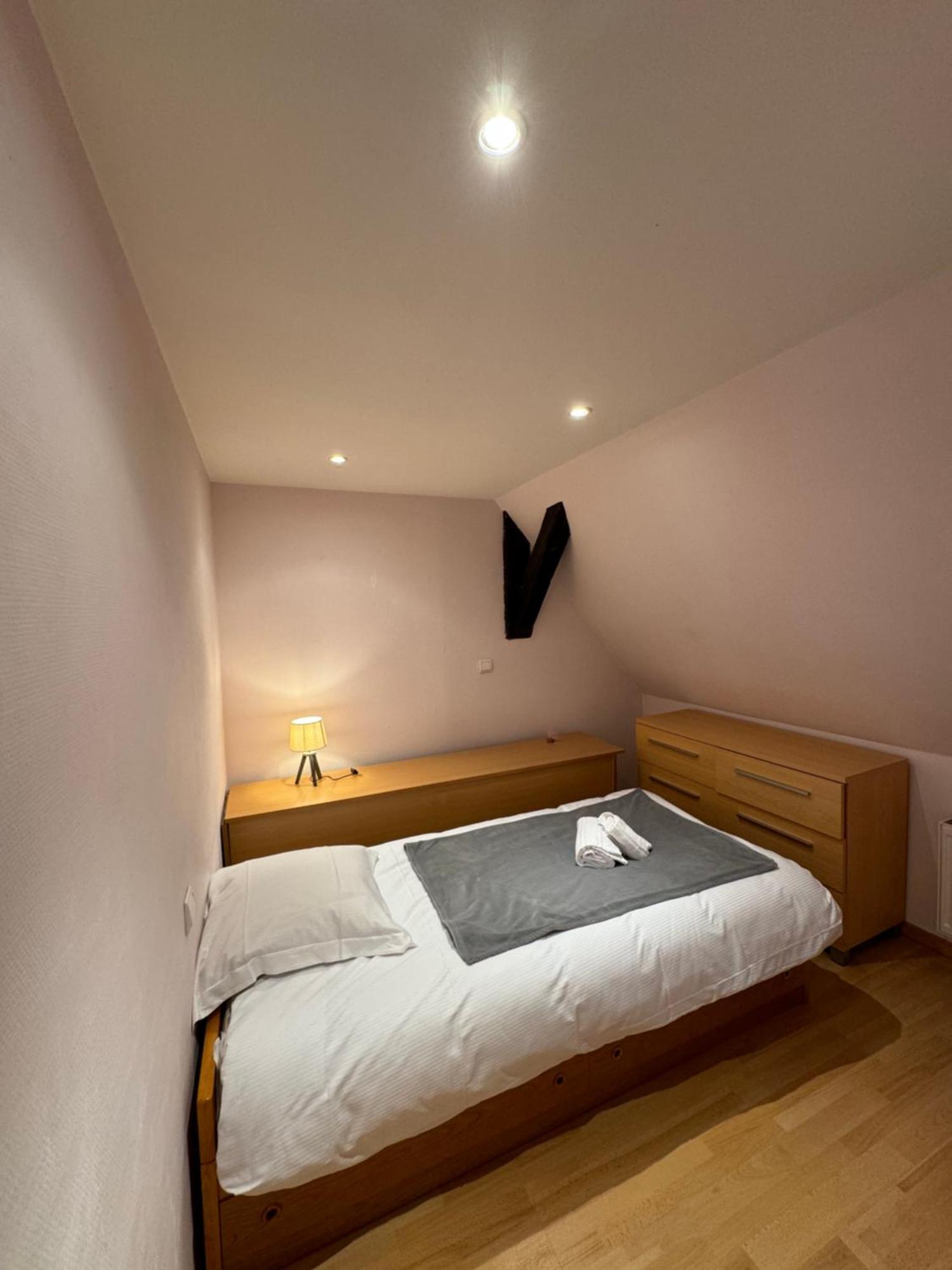 Le Colmarien - Hypercentre - Free Parking - Terrasse Holiday home Colmar